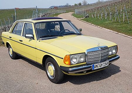 Mercedes-Benz 240 Mercedes 240D W123 H-Kennzeichen, unfallfrei