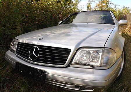 Mercedes-Benz SL 280 das perfekte sehr günstige Ganzjahresauto