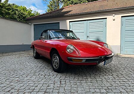 Alfa Romeo Spider 2000 Veloce - Originalzustand, rostfrei
