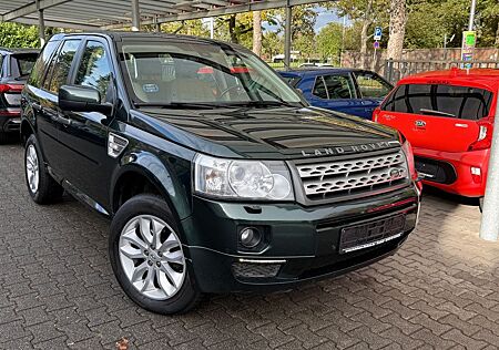 Land Rover Freelander gebraucht kaufen Land Rover Freelander 2 SE SD4 Aut.|LEDER|NAVI|BI-XENON|