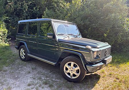 Mercedes-Benz G 500 W 463 Lang