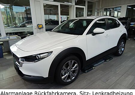 Mazda CX-30 SKYACTIV Selection Rückfahrkamera