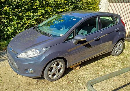 Ford Fiesta 1,4 Titanium, 8-fach Bereifung