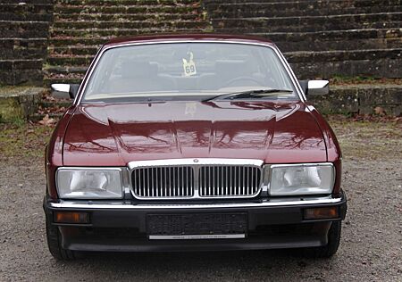 Jaguar Daimler XJ40 mit 3 Jahren Garantie