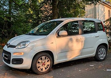 Fiat Panda NOTVERKAUF!! 1.2 8V Easy