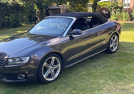 Audi Cabriolet