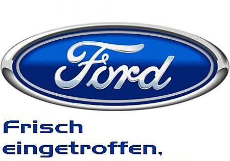 Ford Tourneo Connect Titanium AHK Pano SHZ