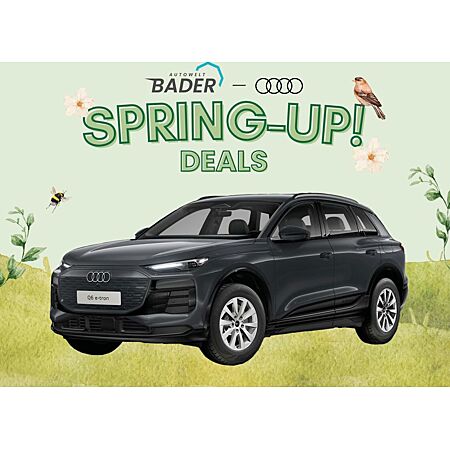 Audi Q6 e-tron leasen
