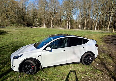 Tesla Model Y Performance Dual Motor AWD Performance