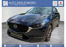 Mazda CX-30 2.0l X Selection 6AG A18-B DES-P ACT-P