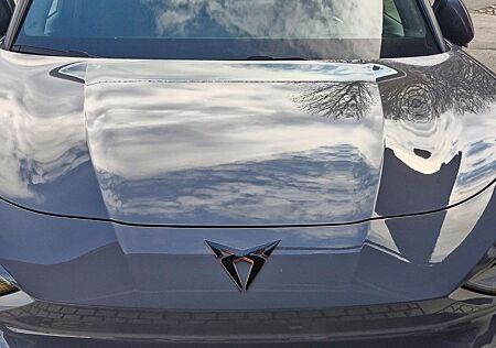 Cupra Terramar 4 Drive Matrix/Sonderlackierung