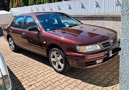 Nissan Maxima A32 | JDM Klassiker | TÜV 04/26 |