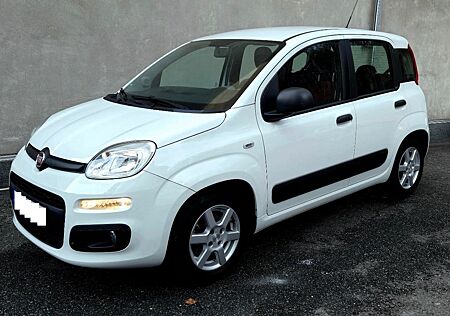 Fiat Panda 1.2/Klima/PDC/Alu/Zahnriemen Neu