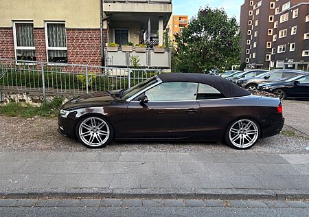 Audi A5 3.0 TDI multitronic Cabriolet -
