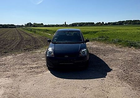 Ford Fiesta 1,3 51 kW Ambiente Ambiente