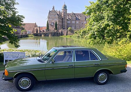 Mercedes-Benz 240 Mercedes W123 240D umfangreich überholt