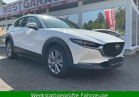 Mazda CX-3 CX-30 Selection 2WD Navi Kamera Head up
