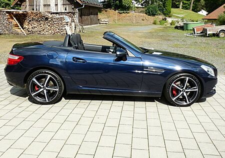 Mercedes-Benz SLK 250 CDI BlueEfficiency [AUTOMATIK]