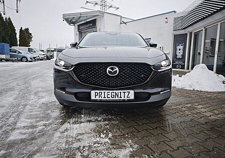 Mazda CX-30 2.5L e-SKYACTIV G 140ps Bose, elektr. Fahr