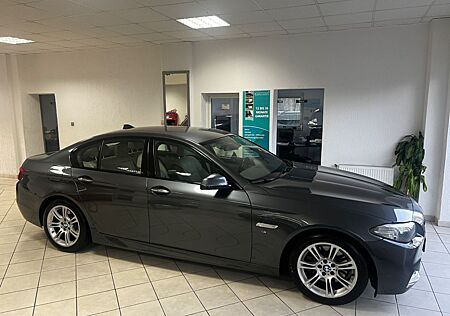 BMW 525d M-Sportpaket Automatik Navi-Business Euro6