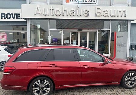 Mercedes-Benz E 250 E T-Modell BlueTec