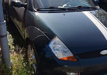 Ford Streetka 1.6 Elegance Elegance