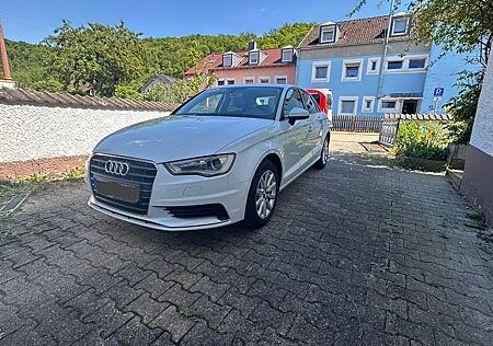 Audi A3 1.6 TDI 8V Ambition