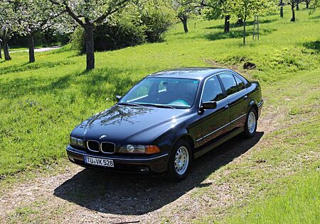 BMW 528i E39 | 1. Hd | Garagenwagen