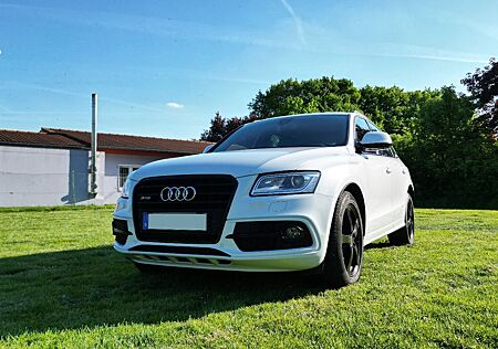 Audi SQ5 3.0 TDI competition quattro Kamera Pano Sthz