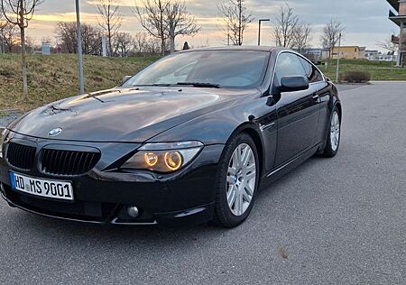 BMW 645ci V8 | All Black | H&R Fahrwer