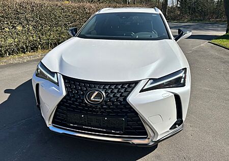 Lexus UX 250h F Sport Design *Bi-LED*HUD*Leder*ACC*SHZ