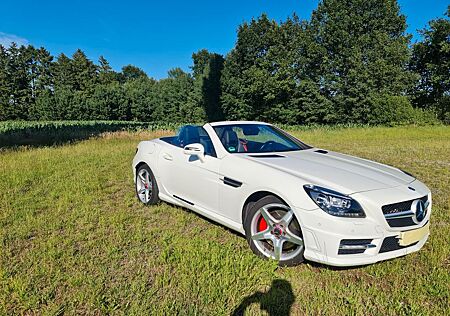 Mercedes-Benz SLK 250 BlueEFF. Edition 1 Autom. Edition 1