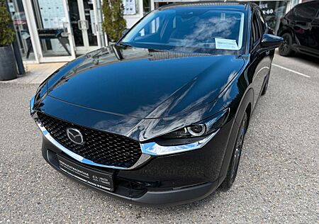 Mazda CX-30 Select.Design + Act.Paket,Unfallfrei,1.Han