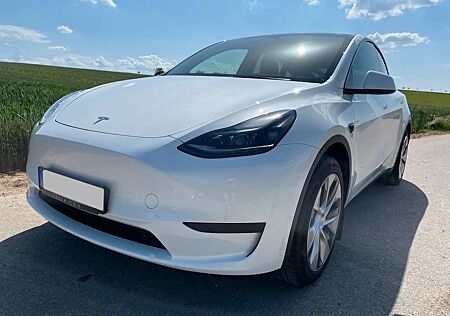 Tesla Model Y Hinterradantrieb