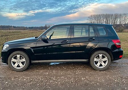 Mercedes-Benz GLK 220 CDI 4MATIC BlueEFFICIENCY -