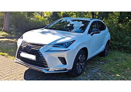 Lexus NX 300 300h -