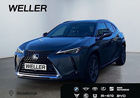 Lexus UX 250h Executive Line *HUD*Leder*GSD*CAM*el Hec