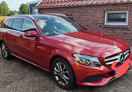 Mercedes-Benz 220 C220 CDI T-Modell PANO AHK