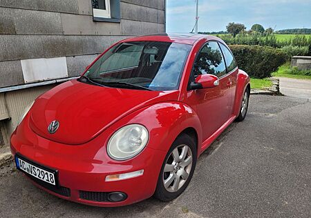 VW Beetle Volkswagen