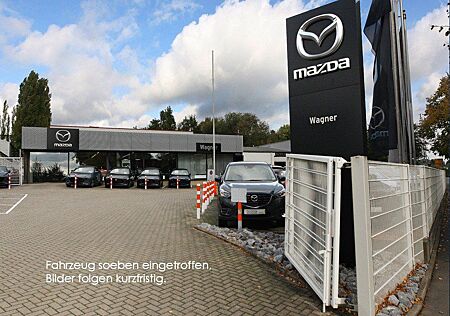 Mazda CX-60 gebraucht kaufen Mazda CX-60 Homura Plus PHEV 327 PS *Leder*Pano*Bose*