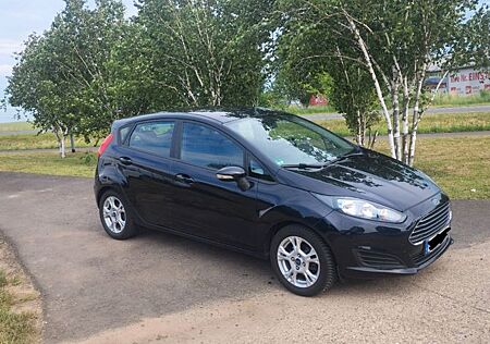Ford Fiesta 1,6 TDCI 95 PS AHK Winterpaket