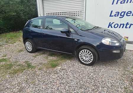 Fiat Punto 1.2 8V POP TÜV NEU Service Neu