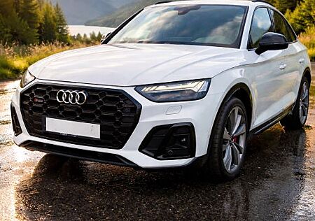 Audi SQ5 TDI tiptronic quattro -