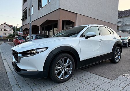 Mazda CX-3 CX-30 Selection *Matrix-LED, Nav, Kam & Assist +