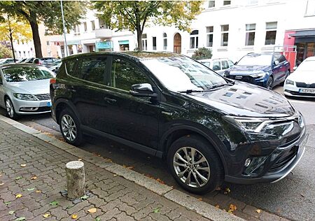 Toyota RAV 4 2,5-l-Hybrid Team Deutschland Auto 4x2...