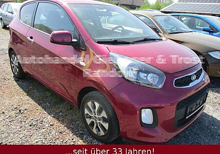 Kia Picanto Dream Team