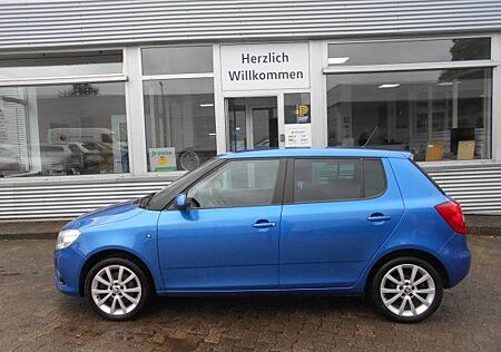 Skoda Fabia 1.2 TSI DSG , Best of, Climatronic,Winterr