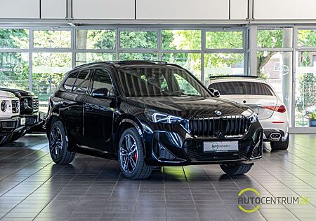 BMW X1 20d M Sport Pano Memo HUD AHK Park Inno