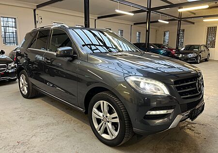 Mercedes-Benz ML 350 CDI BlueTec *BI-XENON*ILS*180°*TEMPO*SHZ*