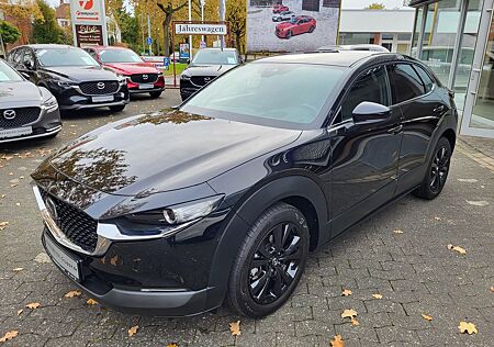 Mazda CX-30 Homura 2WD Head-Up, LED, Navi, Kamera, Aut